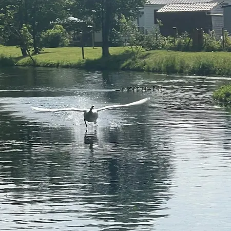 L'envolee Sauvage Mobilhome 3 Dağ evi *